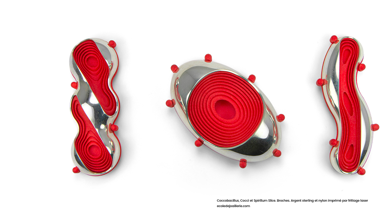 Coccobacillus, Cocci et Spirillum Slice. Broches. Argent sterling et nylon imprimé par frittage laser