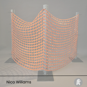 Nico Williams